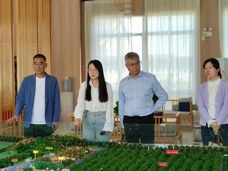淮北市政協(xié)委員在烈山區(qū)宋疃鎮(zhèn)“七彩和村”調(diào)研。楊經(jīng)驗(yàn)供圖
