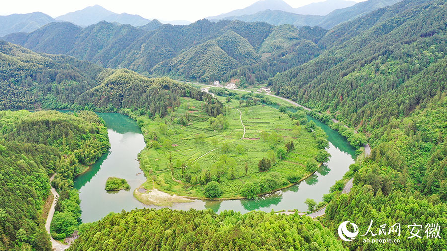 黃山休寧，新安源區(qū)域碧水青山茶園相得益彰。人民網(wǎng)記者 張俊攝
