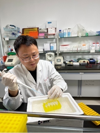 齊紫平正進(jìn)行靶向藥物的藥理學(xué)研究。中國(guó)科學(xué)院合肥物質(zhì)科學(xué)研究院供圖