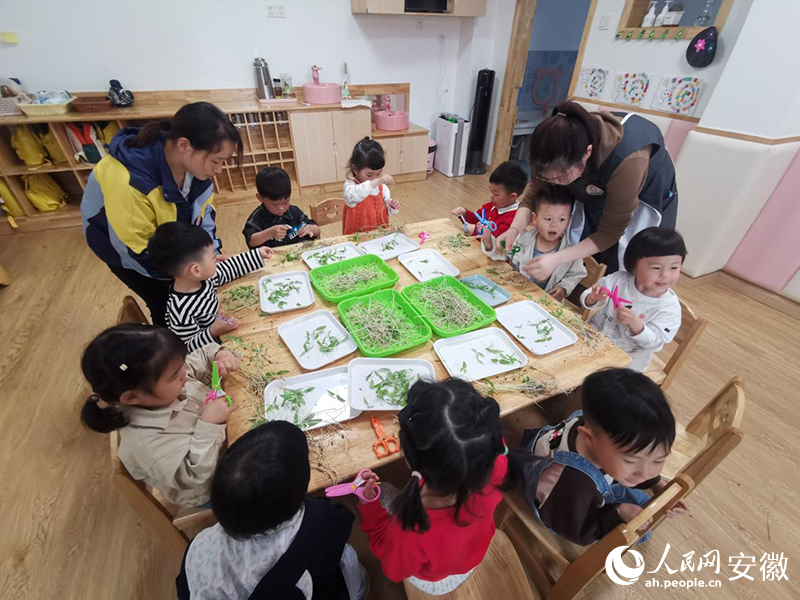 托育點內(nèi)孩子們動手認(rèn)識植物。人民網(wǎng) 陶偉攝