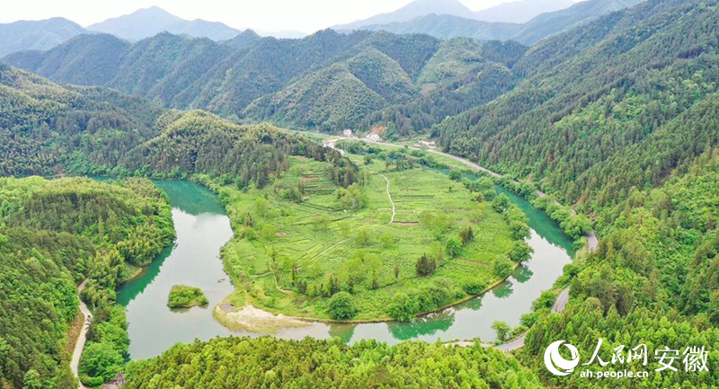黃山休寧，新安源區(qū)域碧水青山茶園相得益彰。人民網(wǎng)記者 張俊攝
