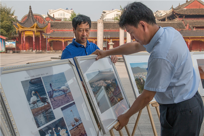 “鳥(niǎo)叔”們組織開(kāi)展生態(tài)鳥(niǎo)類(lèi)攝影展。受訪(fǎng)者供圖
