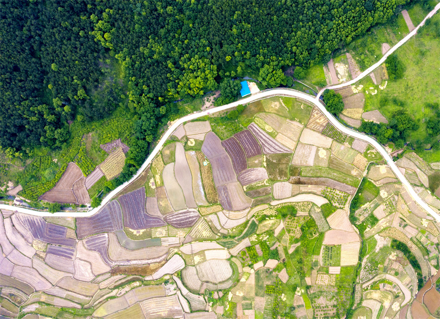 航拍安慶市太湖縣田野。孫兵攝