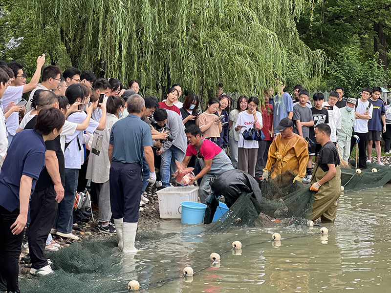 捕魚活動引起數(shù)百名同學的圍觀。蚌埠醫(yī)學院 供圖