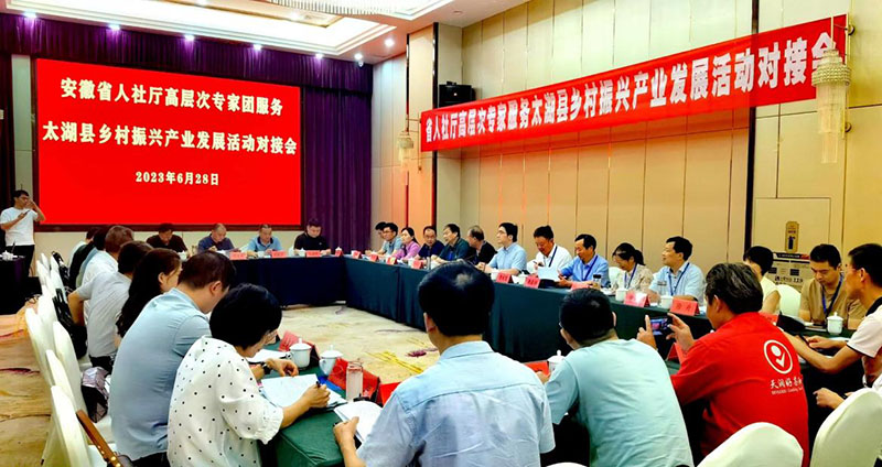 專家團(tuán)對接會現(xiàn)場。太湖縣委宣傳部供圖