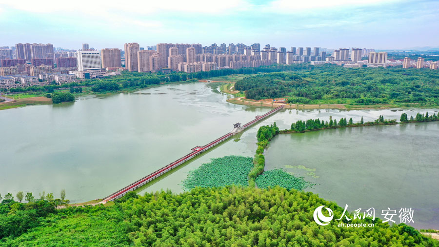俯瞰蕪湖灣沚水夢(mèng)南湖生態(tài)公園。人民網(wǎng)記者 張俊攝