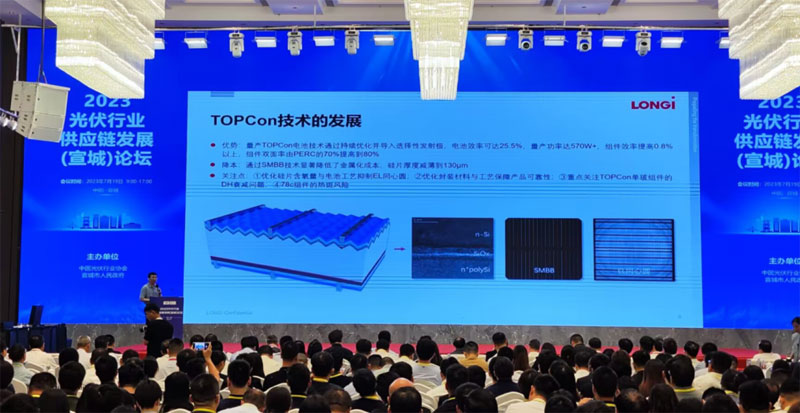 相關(guān)專家、企業(yè)家作專題分享。戴巍攝