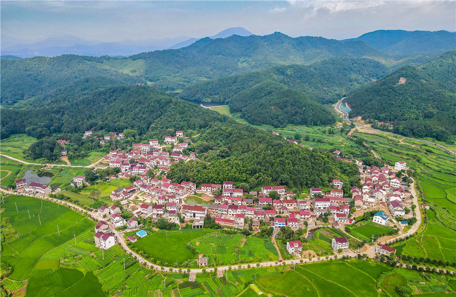 盛夏山鄉(xiāng)美。李紅兵攝
