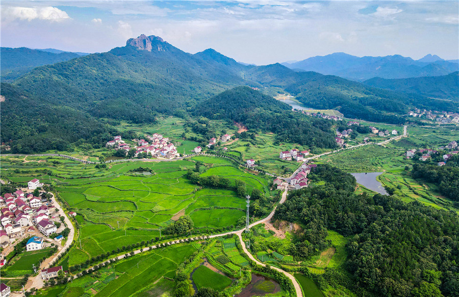 盛夏山鄉(xiāng)美。李紅兵攝