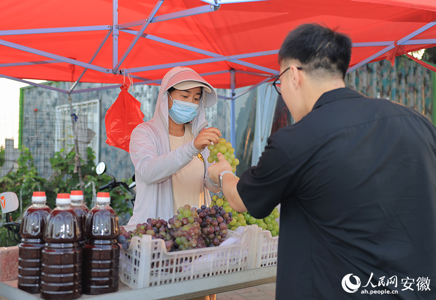 果農(nóng)在路邊銷售新鮮采摘的葡萄。人民網(wǎng)記者 王曉飛攝