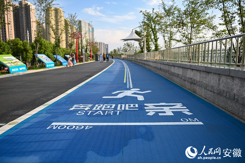 蕪湖十里江灣健康步道。人民網(wǎng)記者 苗子健攝