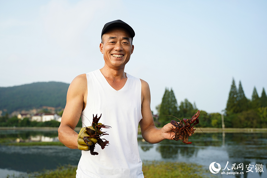 龍蝦豐收，農(nóng)戶笑。人民網(wǎng)記者 王銳攝