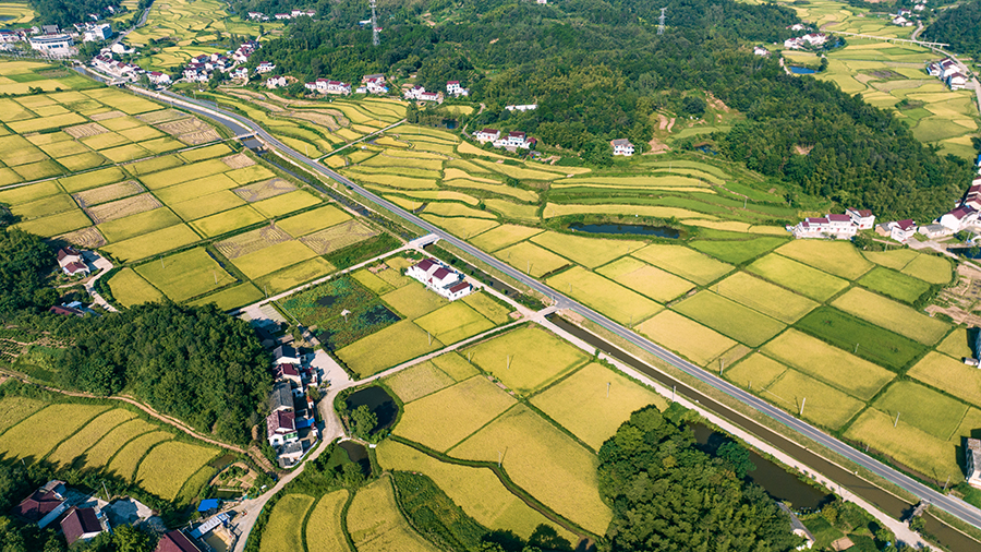安徽霍山打造宜居水美鄉(xiāng)村。董昌忠攝