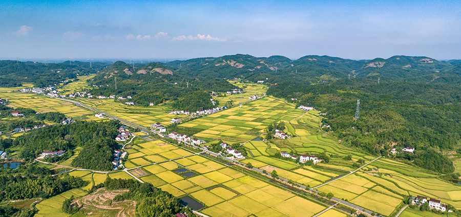安徽霍山打造宜居水美鄉(xiāng)村。董昌忠攝