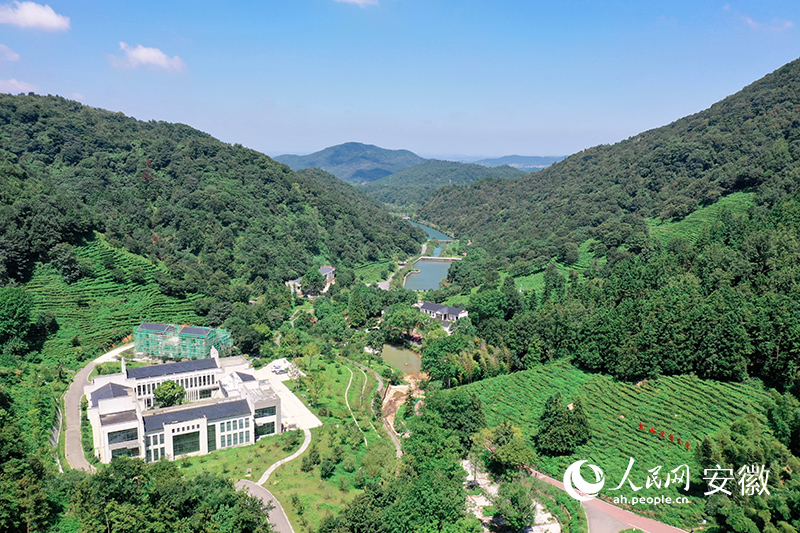 俯瞰花溪茶谷旅游綜合體。人民網(wǎng)記者 陳若天攝