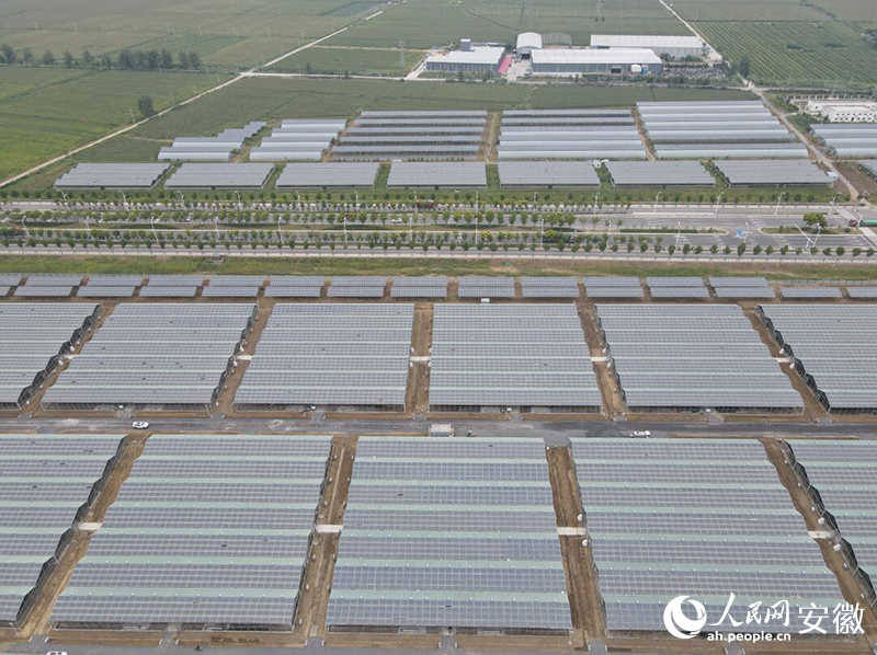 無人機拍攝漆園黃牛養(yǎng)殖基地。人民網記者 王曉飛攝