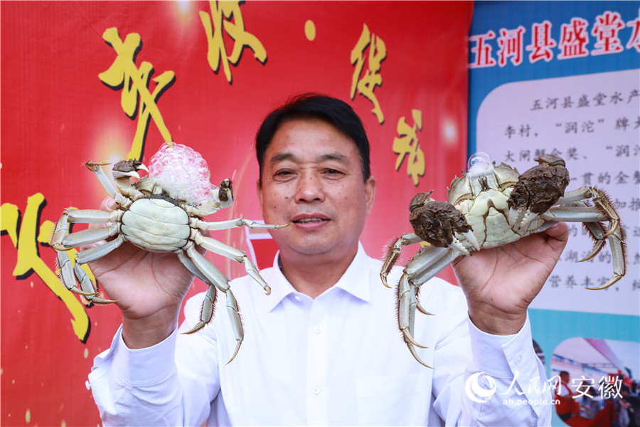 展銷街上，養(yǎng)殖戶向人們展示自家的螃蟹。人民網(wǎng)記者 陶濤攝