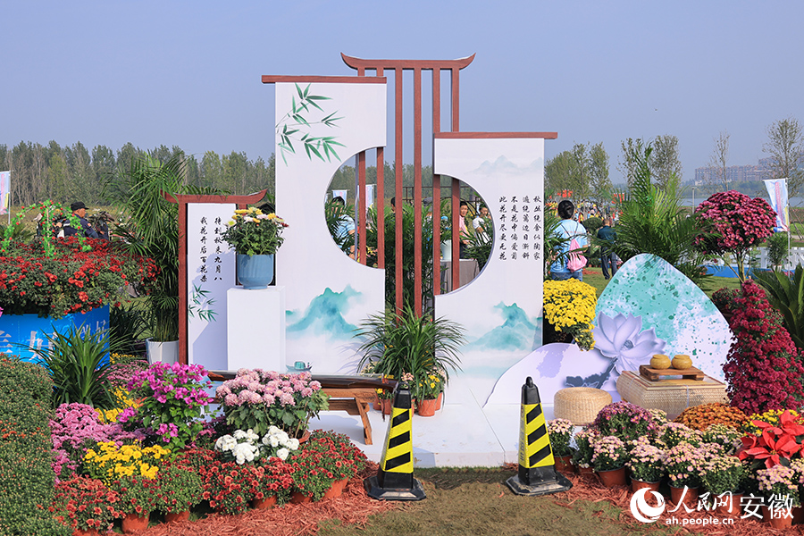 菊花展一隅。人民網(wǎng)記者 王曉飛攝