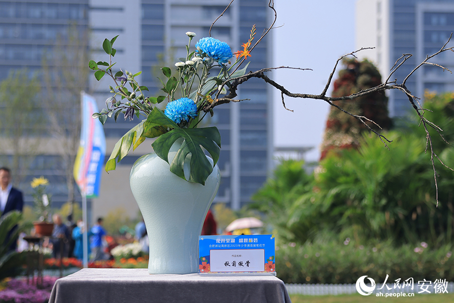 “秋菊傲骨”。人民網記者 王曉飛攝