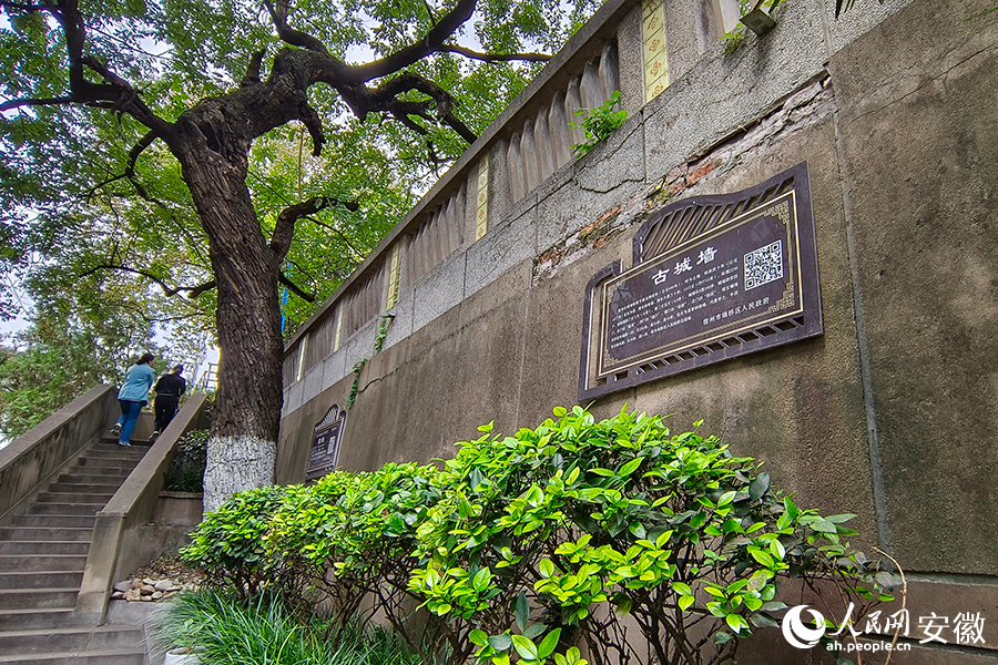 宿州古城墻遺址。人民網(wǎng)記者 苗子健攝