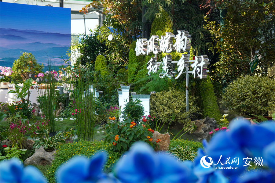 苗交會(huì)安徽館。人民網(wǎng)記者 陳若天攝