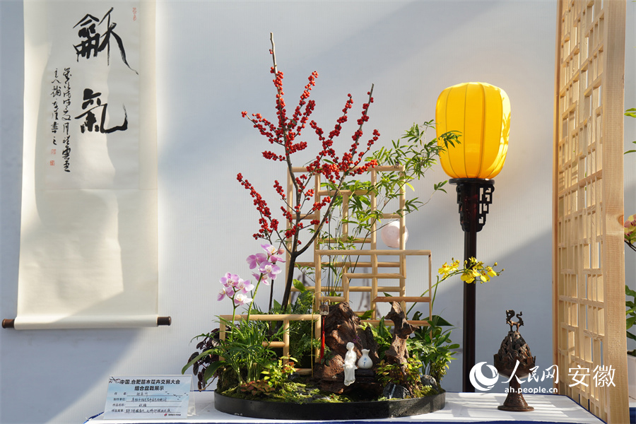 苗交會上的組合盆栽展示。人民網(wǎng)記者 陳若天攝