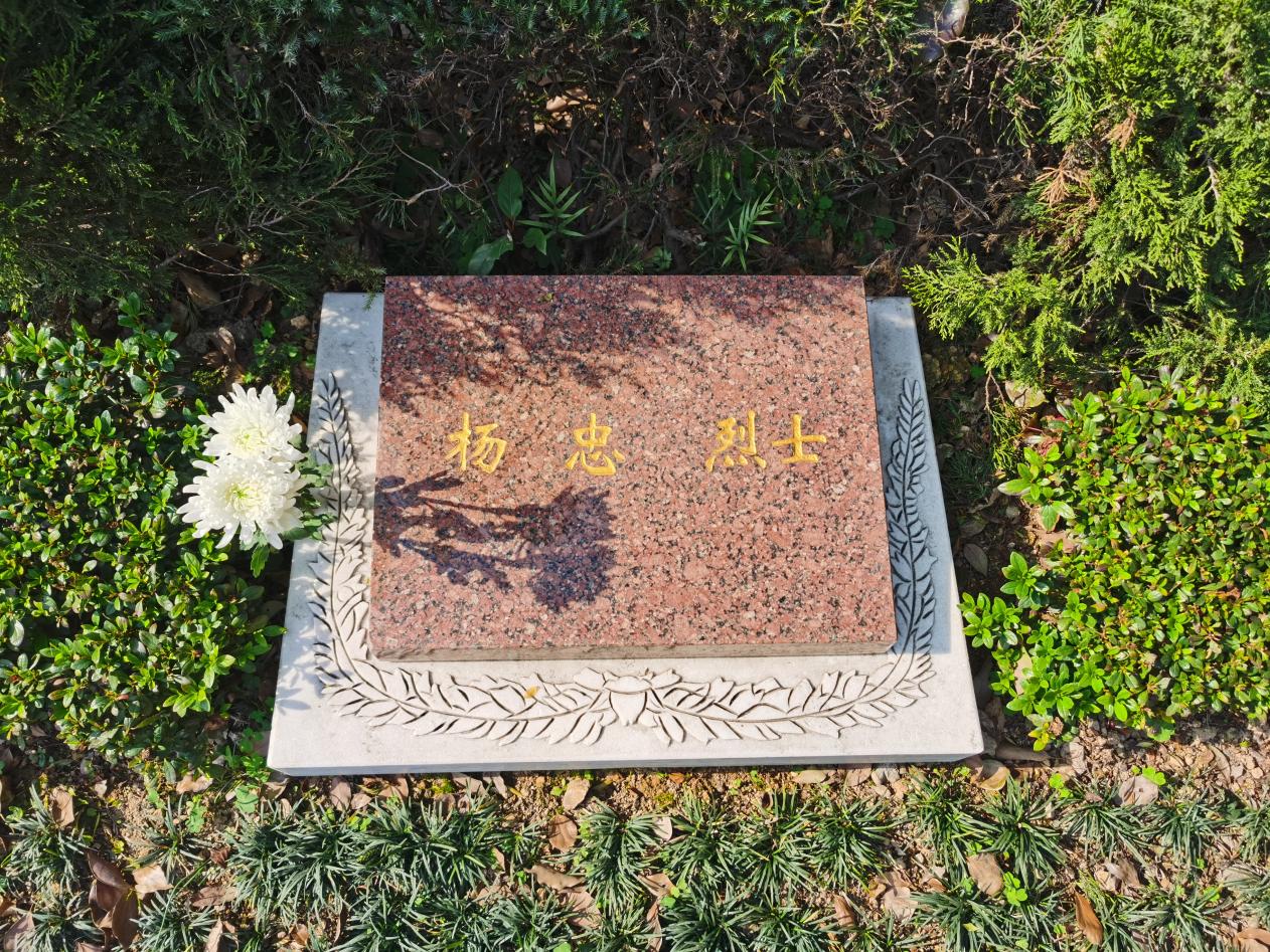 楊忠烈士墓碑。 溫州革命烈士紀(jì)念館供圖