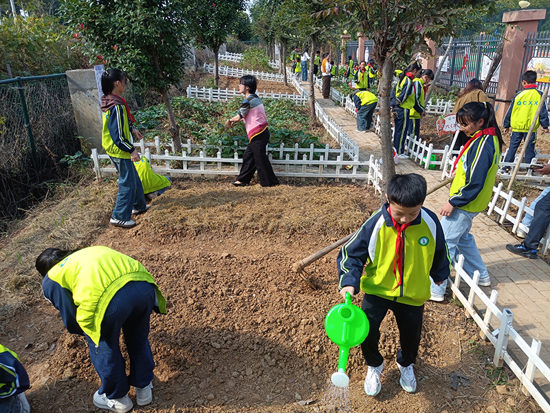 邱村小學(xué)的孩子們?cè)凇按T實(shí)園”忙著給菜地澆水。廣德市教體局供圖