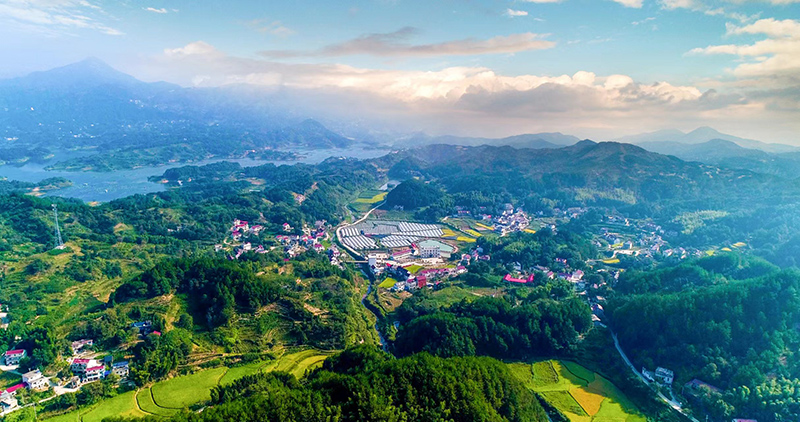 岳西縣毛尖山鄉(xiāng)王畈村航拍全景。