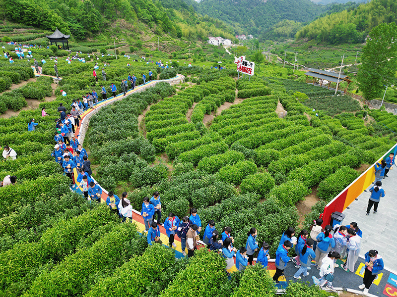 岳西縣黃尾鎮(zhèn)悅溪茶谷