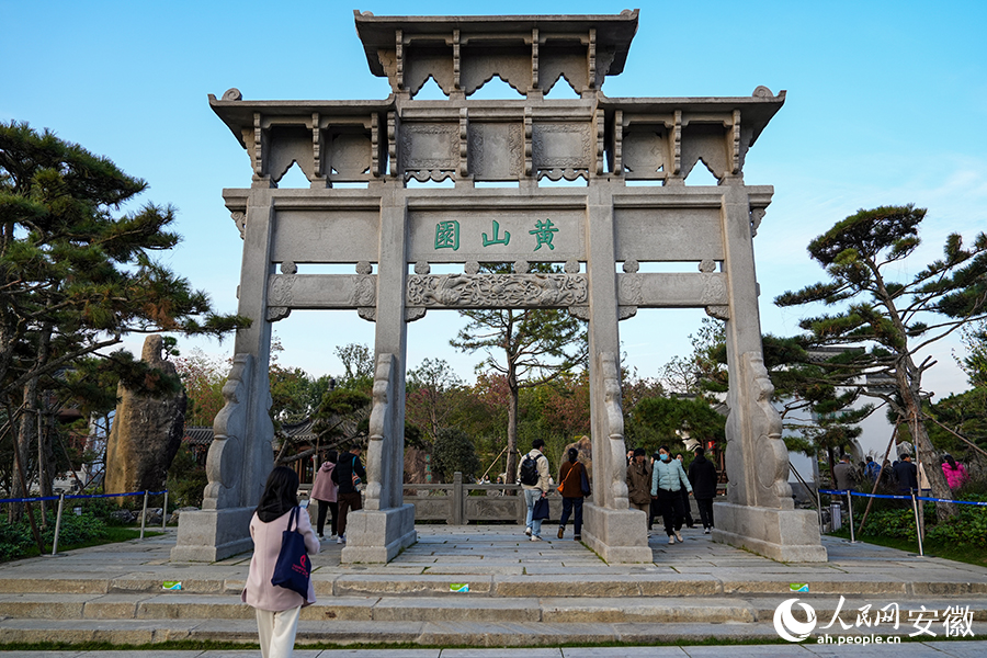 合肥園博園。人民網(wǎng)記者 苗子健攝