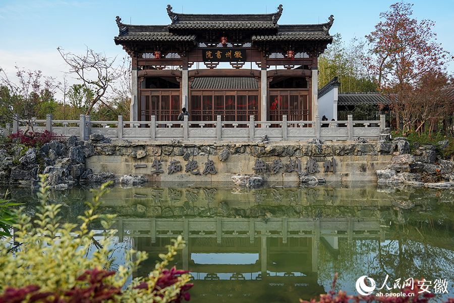 合肥園博園。人民網(wǎng)記者 苗子健攝