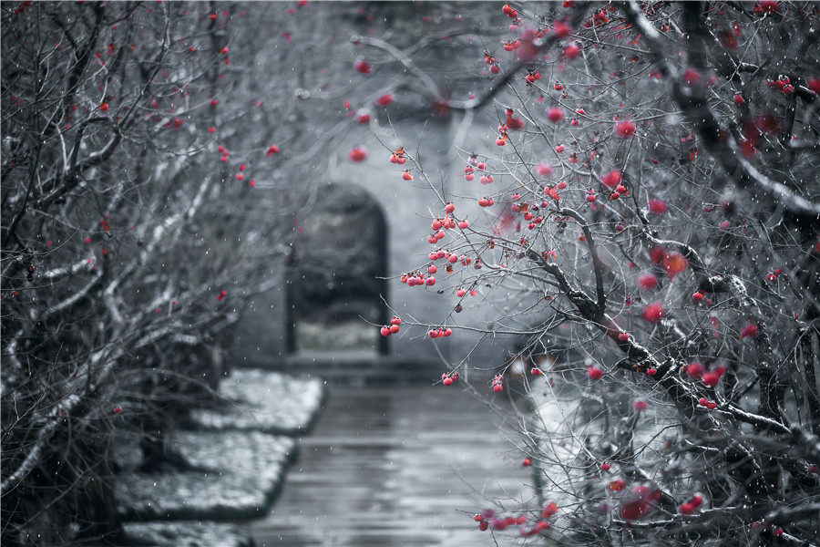 銀裝素裹的尤園雪景，分外妖嬈。張亞輝攝