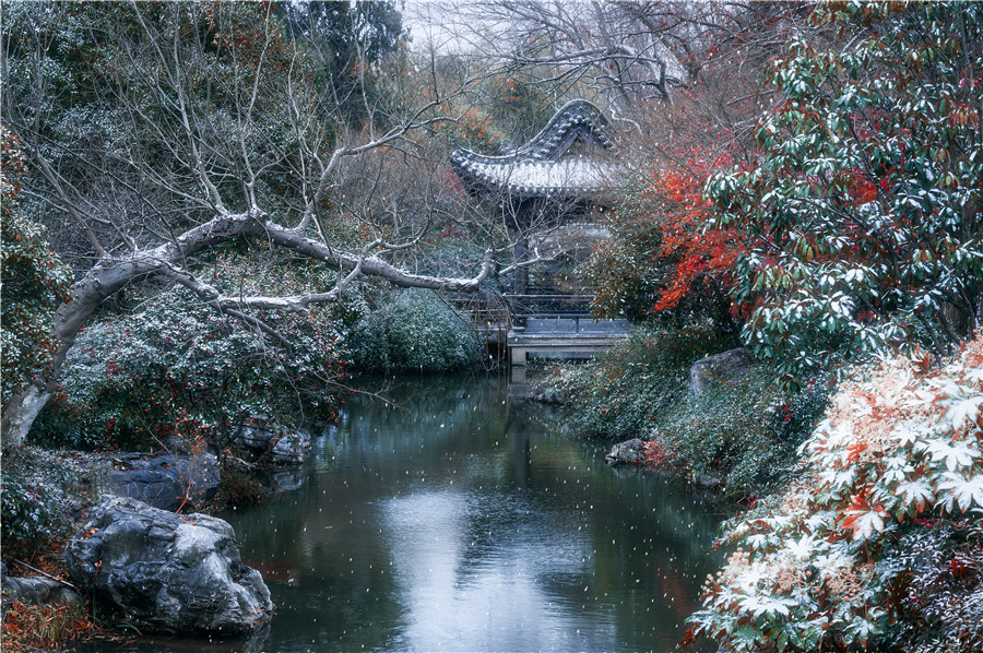 銀裝素裹的尤園雪景，分外妖嬈。張亞輝攝