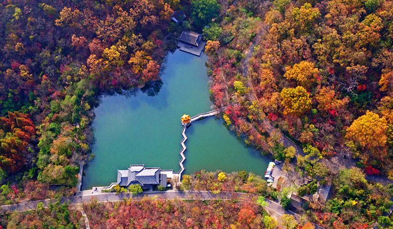 俯瞰瑯琊山一景。滁州市委宣傳部供圖