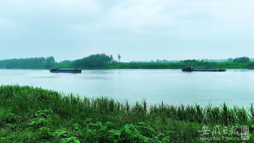 銅陵市義安區(qū)胥壩鄉(xiāng)子胥圩西風(fēng)埂江邊風(fēng)景。沈衛(wèi)蛟攝