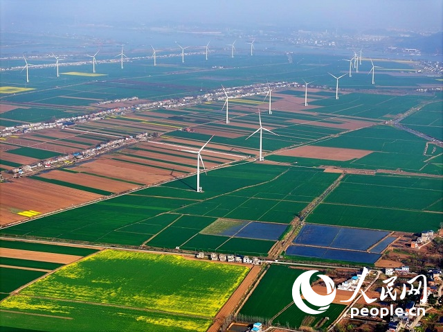 江西省九江市柴桑區(qū)江洲鎮(zhèn)長(zhǎng)江沿岸的風(fēng)力發(fā)電機(jī)。人民網(wǎng) 朱海鵬攝