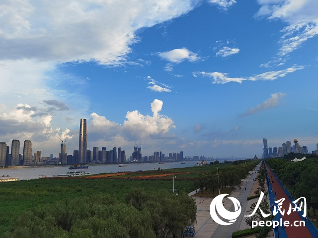 長(zhǎng)江武漢段江灘公園綠意盎然。人民網(wǎng)記者 周雯攝
