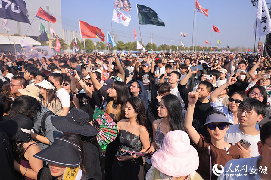 音樂節(jié)現(xiàn)場人山人海。人民網(wǎng)記者 王曉飛攝
