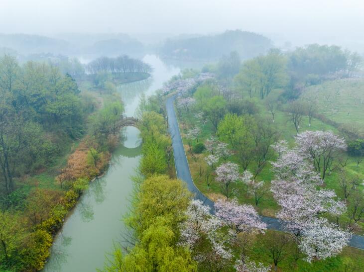 池州市杏花村美景。饒頤供圖