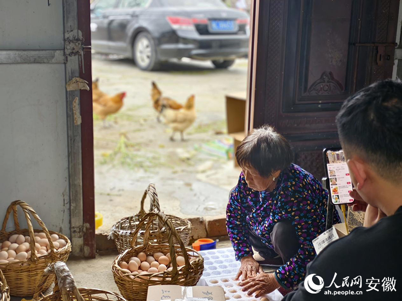三毛農(nóng)場(chǎng)直播銷售土雞蛋。人民網(wǎng)陶偉攝