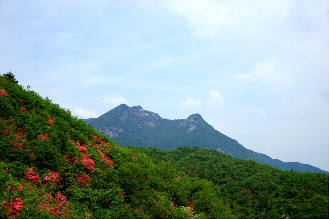 古井園國家級自然保護(hù)區(qū)風(fēng)光。岳西縣委宣傳部供圖
