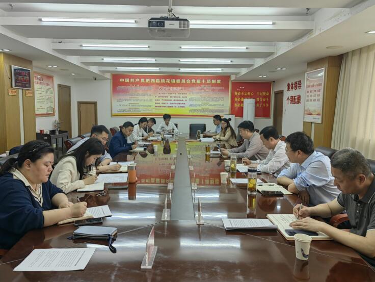 桃花鎮(zhèn)黨委召開專題會(huì)議傳達(dá)部署黨紀(jì)學(xué)習(xí)教育。潘虹攝