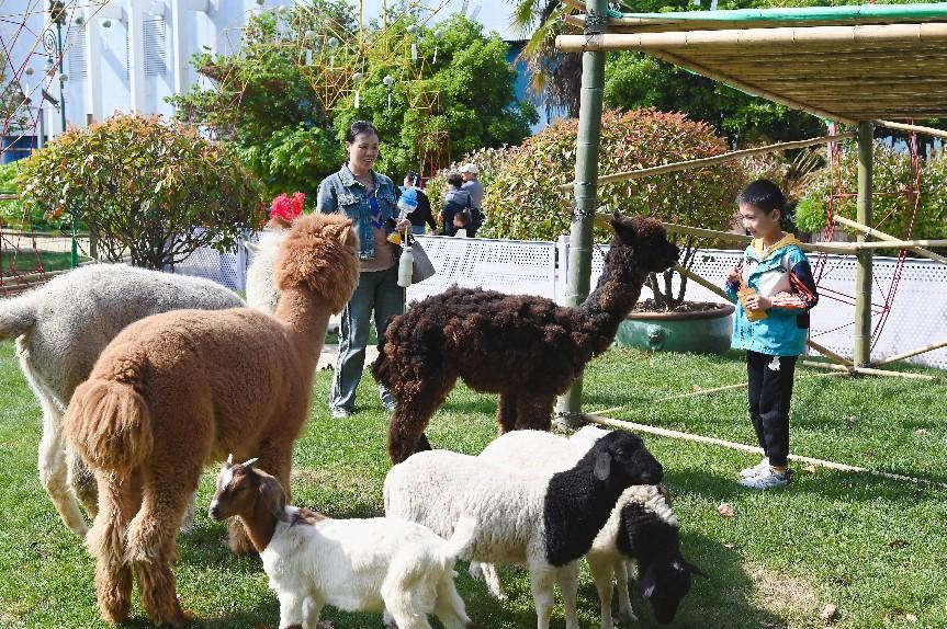 動物互動。