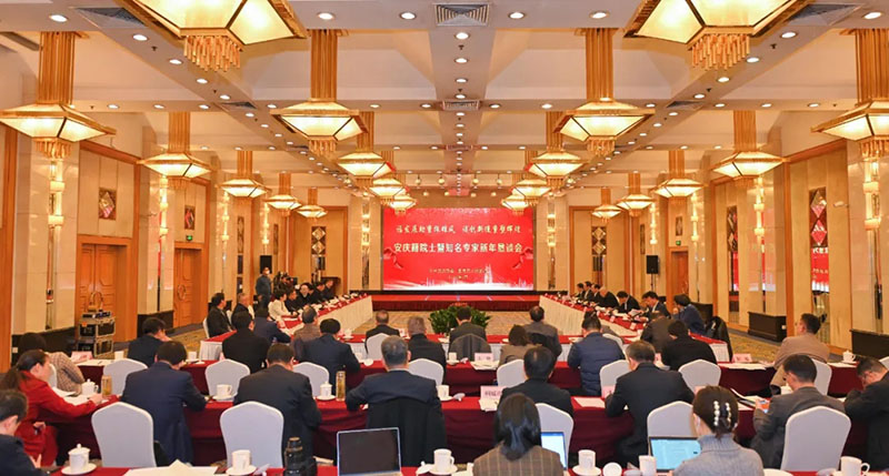 院士懇談會(huì)。安慶市委宣傳部供圖