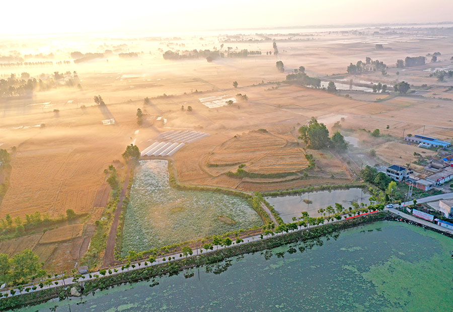 2024年5月28日，安徽省淮南市壽縣堰口鎮(zhèn)江黃村晨霧繚繞，構(gòu)成一幅夏日和美鄉(xiāng)村生態(tài)畫卷。