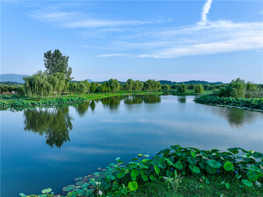 平天湖國家濕地公園滿目蔥蘢。