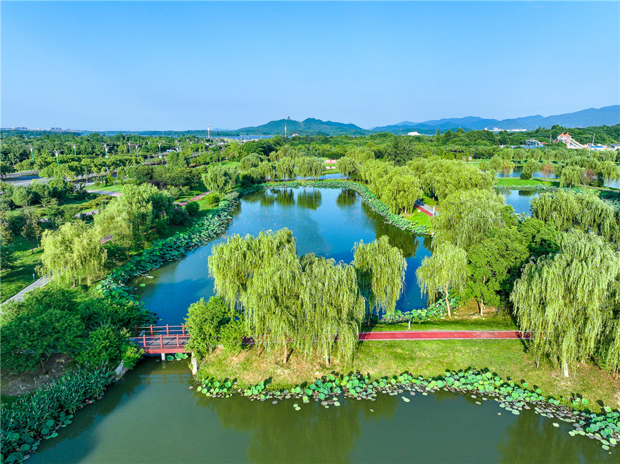 平天湖國(guó)家濕地公園滿(mǎn)目蔥蘢。