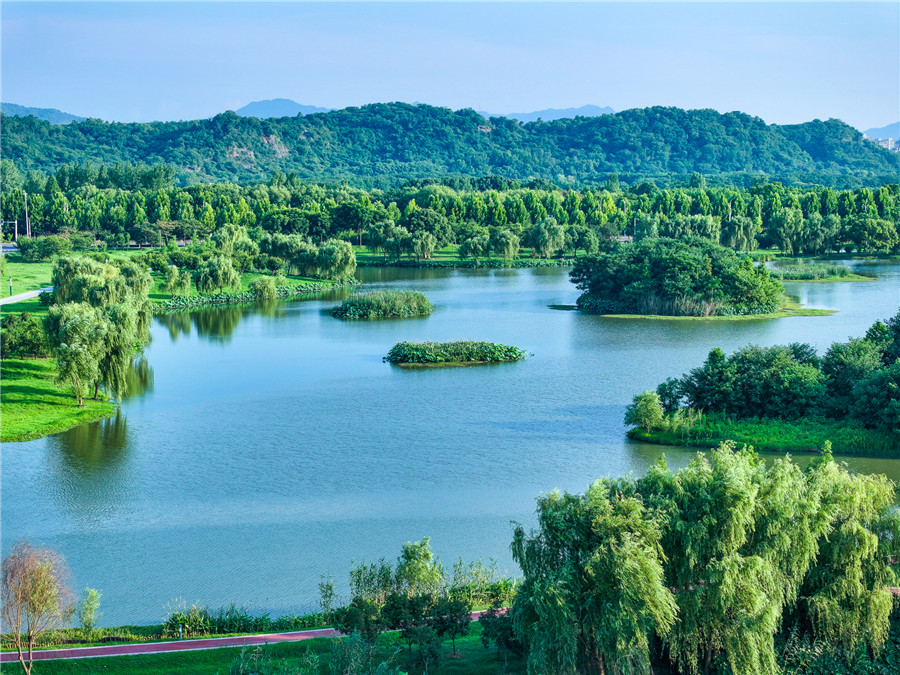 平天湖國家濕地公園滿目蔥蘢。