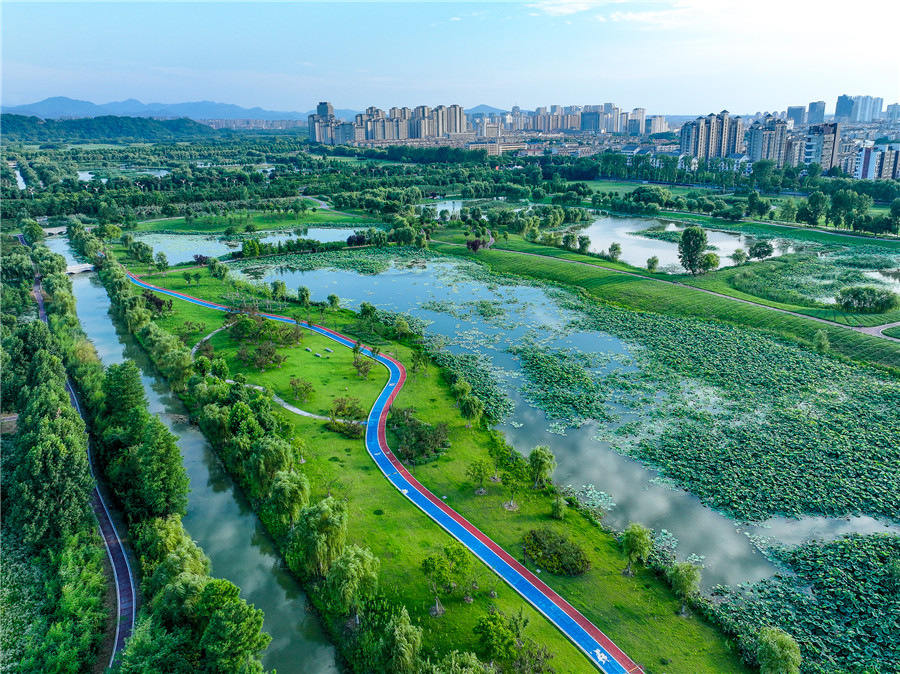 平天湖國家濕地公園滿目蔥蘢。